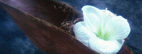 Saudariku, Hijab Syar’i Itulah Pelindungmu (Bagian 2)