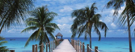 Jangan Buat Mereka Lari